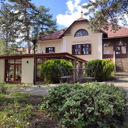 فندق Imola Garden Vendeghaz بالاتونفوريد المظهر الخارجي الصورة