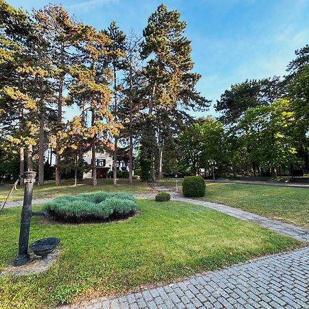 فندق Imola Garden Vendeghaz بالاتونفوريد المظهر الخارجي الصورة
